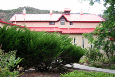 landscaped view