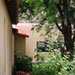exterior garden